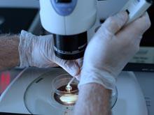 ������ ����������������� ������� ��������� ����� �� ���� ���������