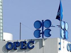 ���� ���������� ����� ��������� ������ �����