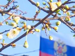 ������ ������� ����� � ���-30 ����� �� ������� ������ ����