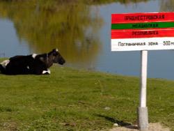 ��������� ����� ������� ������������ ���� �� �������� �� �� ��