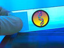 ������ �������� ������ ���������� �������� �� ����-��������