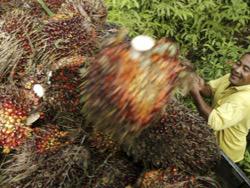 ����������������� �������� ��������� ����� �� ����������������