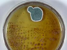 ���������� ������ ����� �� ������� �������������� ����������, �������� �����