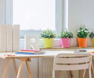 ������� ���������� ���: ��� �������� ������