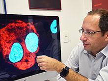 �������� ����������, ��� ���������� ��������������� ������ ����