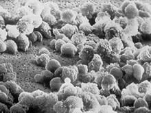 ������������� ����� ������ ������� ���������� ��������� ������ ���