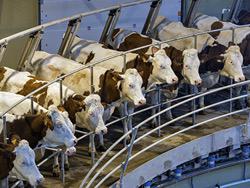 � ����������������� ���������� � ������ ������� �������������� ������