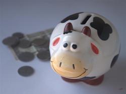 ������� ���������� ������� ���������� ��������� ���������