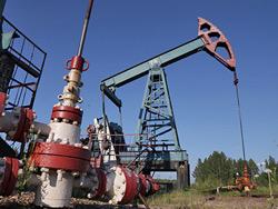 ���� �� ����� ��������� 50 ��������