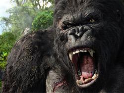 Warner Bros.  30- -   