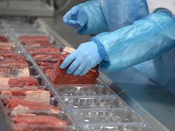 ���������� ���������� �������� ���� ����� � ������