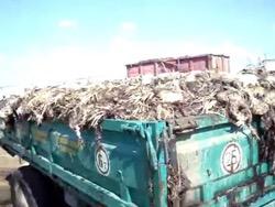 ������ ��������� �������� ����������� ���������� � ����������������