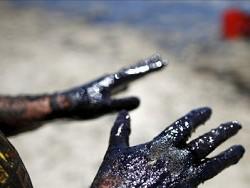 ����� ������ ��������� �� ����� �����