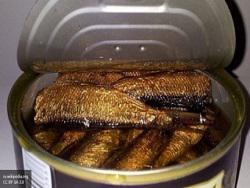 ������� ������� ����� ������� �������� �� ����� �������