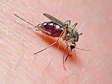 ������������� ������, ����� ������� ���� ������� �������� � ������� ������������