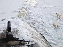 ������� ��������� ������� ������� ��� � ��������� �� �������� ������