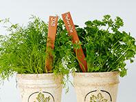 ����� � �������� ������ ���������� ������� �������������� ��������