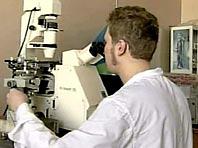 ������������� � ���� �� �������� �������� ����� ��� ����������� ������� � ����