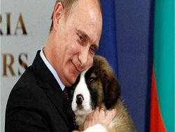 �������� �������: ����� ���������� �� ������