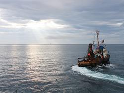 ���������� ����������� �������� ��� ������� ������� ������ ����