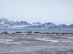 ���������� ������� ���������� ����������� � �������