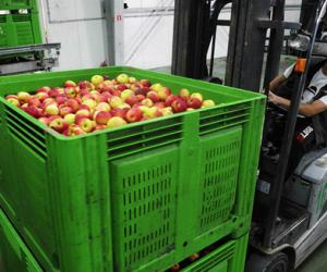 �������� ������ ������������� ������������