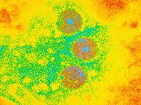 �������� �������� � ������ � �������� �������, � ������ �������