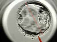 ������ �������� �������� ����� �������� � ���� ����������� ��������