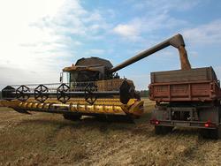 �������� ��������� ��������� �� �������� � 2017 ����