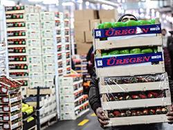 ���������� �������� ������ ������ ������������������ ������� � ������