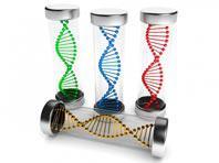 ������������� ����� ������ �� ��������, ��������� � �������� ��� ��������� ���������������