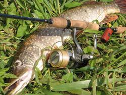 ������ �� ������� ��������� ����������� ������?