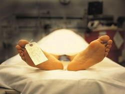 � ������ ����� �������� ��������� ����� ���������