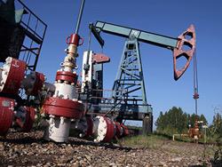 ��� ������ ������� ��� ����������� ����� �� 75 ��������