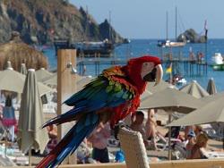 � ���� ���������� ����� �������������� ���������� ���������