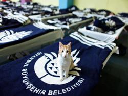 ��� ����� ������: ��� �������� ��������� � ������� ����� �������