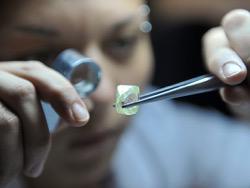 ������ ���� �� �����