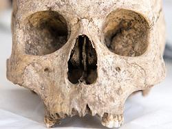 �� eBay ��������� ��������� ������������ ������