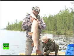 ����� ������ �� ������� �����������