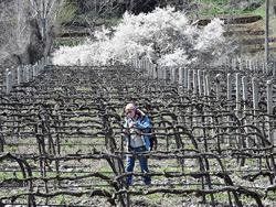 � ����� ���������� ���������� ���������