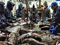 ����������� ������� ������� ������ � ��������� ����� ������� �����