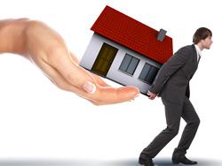 ����������� ���������� ���� �������