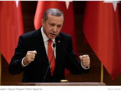 ������������. ������ ������ � �����