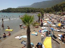 ���� ������ �������� ����� ����� � ��� ��� ������� ��������