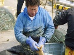 ������: ������ ��� ���������� ����