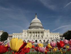 � ��� ������� ��������� ������� ������ � ������ �� ������ � ��