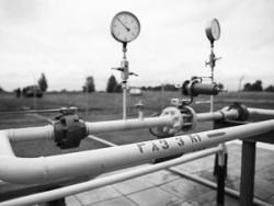 ������� �������� ���������� ����������� ������������� ���������� �� ����������� ����