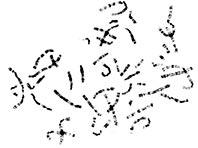 �������� �������� ����� ������� ����������