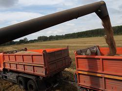 Bloomberg ���������� ������ ������������� �� ������� ����� �����