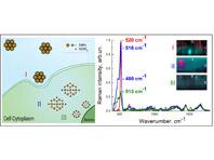 ���������� ����������� ���������� ���������� ������� ���������� ���